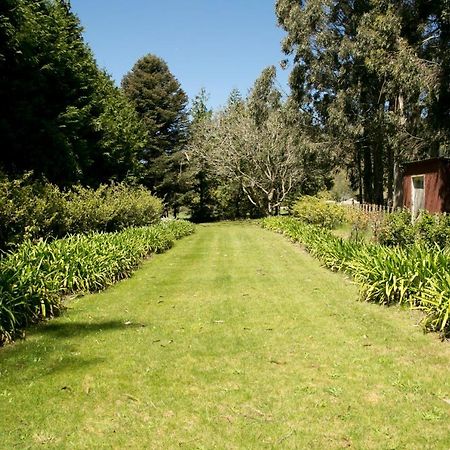 Centennial House Taupo Villa Dış mekan fotoğraf