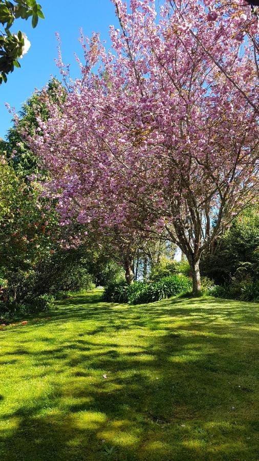 Centennial House Taupo Villa Dış mekan fotoğraf